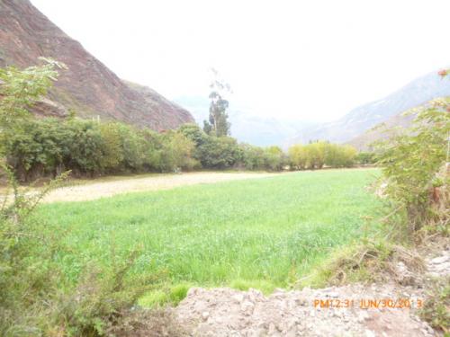 TERRENO HUAYLLABAMBA DE 9000M2