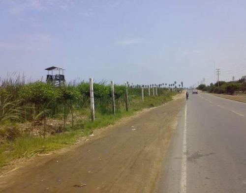 ALQUILO TERRENO EN CHORRILLOS 4000 M2 