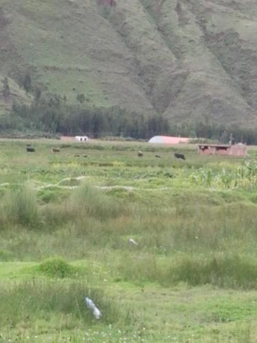 TERRENO APV VILLA CHUMBIVILCANA DE 465M2