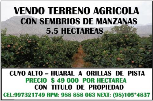 VENDO TERRENO AGRÍCOLA - HUARAL