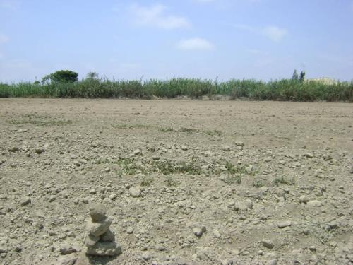 vendo un terreno del  8,571.77m2 en Pisco