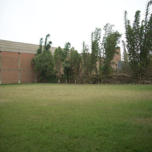 CARABAYLLO, AV. TRAPICHE    VENDO TERRENO  4,000 M2 Y 5000 M2