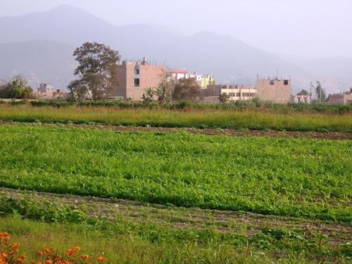 Terreno en Urbanización Santo Domingo, Carabayllo, LIMA