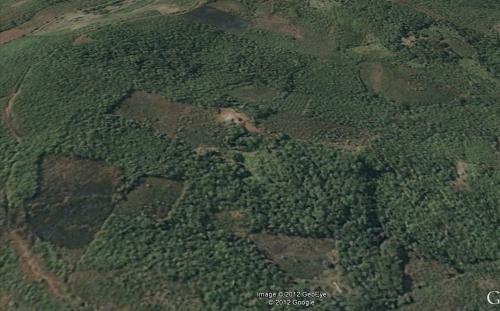 VENDO O ALQUILO FUNDO EN TARAPOTO