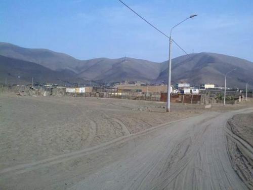 VENDO TERRENO  5000m2 PQ. PORCINO, VENTANILLA