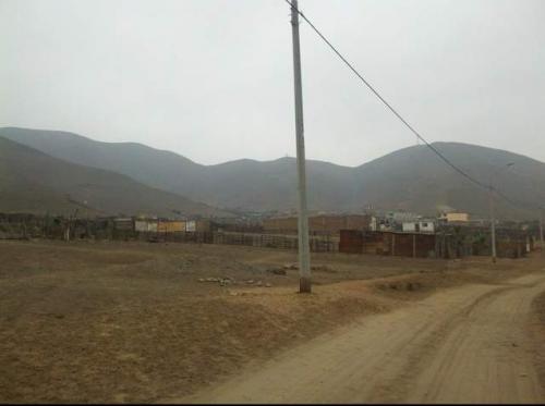 VENDO TERRENO  2500m2 PQ. PORCINO, VENTANILLA 