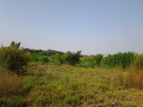 VENTA DE TERRENO EN HUACHO