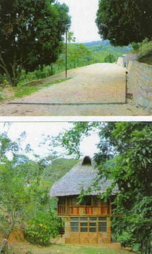 VENDO TERRENO 6HEC IDEAL CONDOMINIO