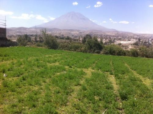 VENDO TERRENO RURAL EN CARMEN ALTO