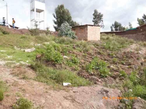 TERRENO APV VILLA EL SOL