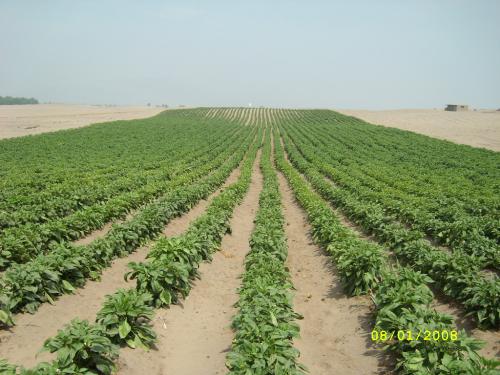 VENDO TERRENO USOS MULTIPLES