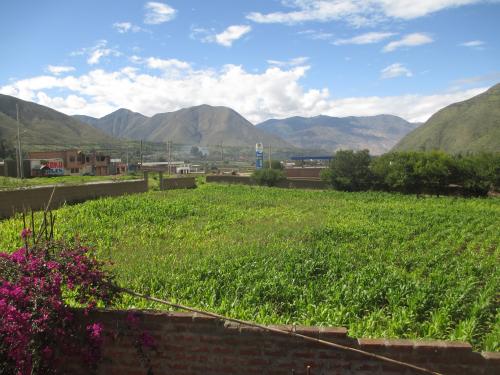 VENTA DE TERRENO HUANUCO 10,000 M2