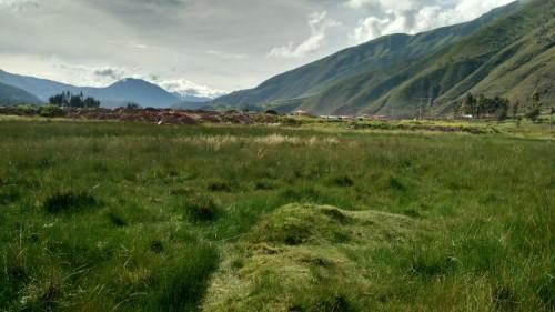 TERRENO EN SAYLLA CHICO DE 250M2