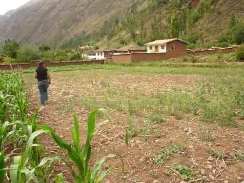 TERRENO EN SAN SALVADOR CALCA DE 1045M2