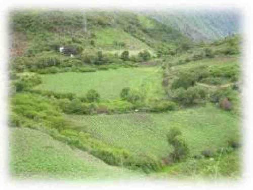 TERRENO EN LIMATAMBO DE 35,000M2 - CUSCO