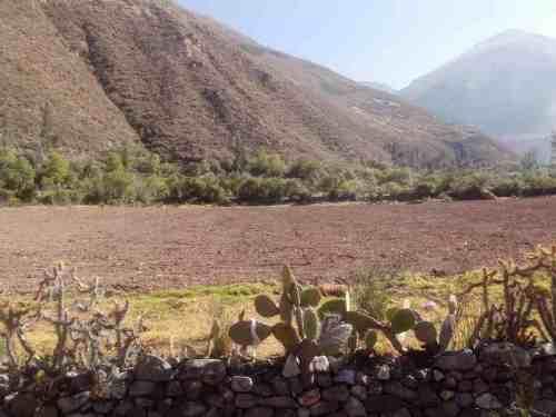 TERRENO EN YANAHUARA DE 3,333M2 ALTURA 8VO PARADERO