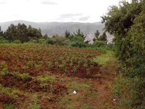 TERRENO EN KALLACHACA DE 540M2, SAN SEBASTIAN