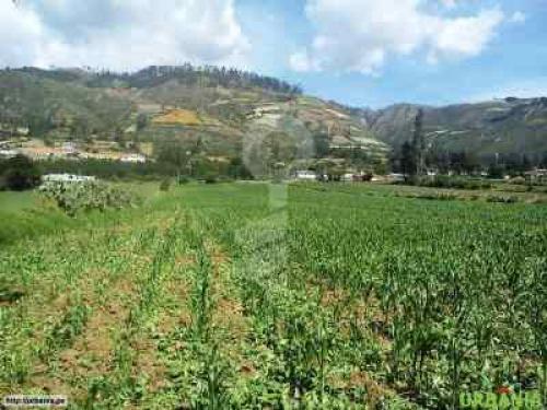 TERRENO EN ABANCAY, CURAHUASI DE 2,000M2