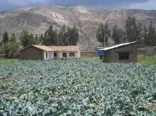 TERRENO EN URUBAMBA DE 2050M2