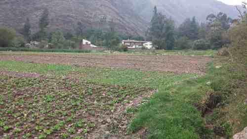 TERRENO EN URUBAMBA DE 9,620M2