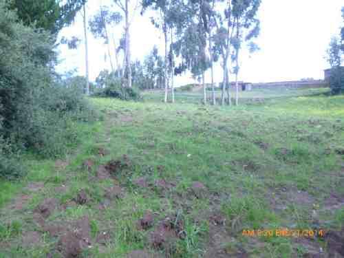 TERRENO EN AYUDA MUTUA DE 1240M2, CUSCO