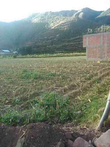 TERRENO EN SAYLLA, CODEBAMBA DE 4800M2