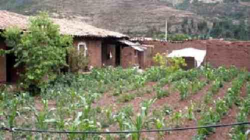 TERRENO EN SAYLLA DE 4000M2