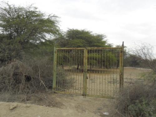 Terreno Agrícola en Coscomba, Piura, EN VENTA