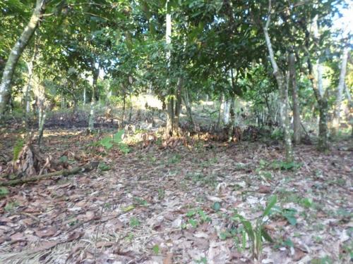 Hermoso terreno para los que aman la naturaleza