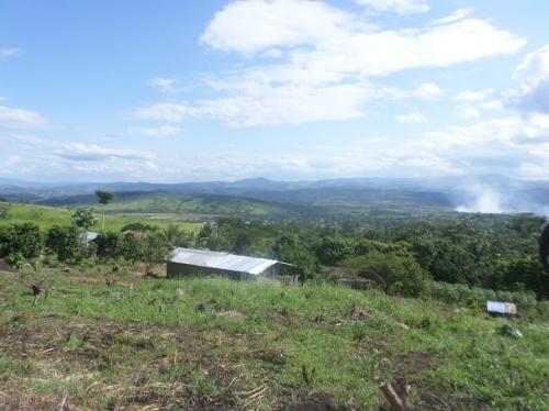 Finca en Venta con producción de Cacao y Frutales