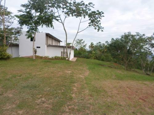 Vive en el paraíso... En la Selva - Banda de Shilcayo