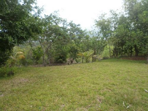 Hermoso terreno a un kilómetro de la entrada de Lamas