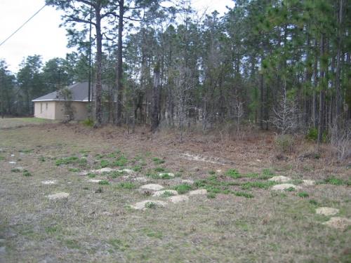 INVERSIONES DE TERRENOS EN OCALA