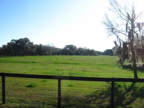 TERRENOS EN VENTA EN OCALA