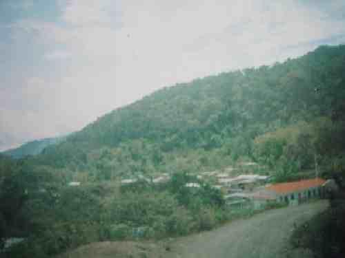 FUNDO EN ICHIQUIATO PALMA REAL