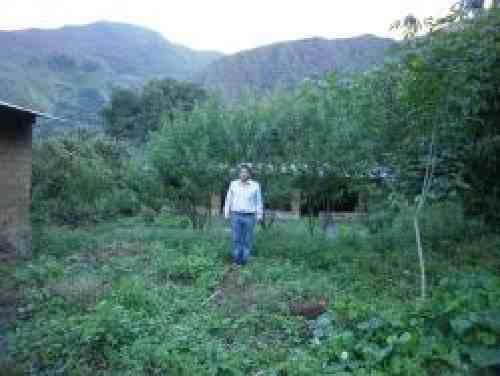 FUNDO EN OCOBAMBA 40HAS