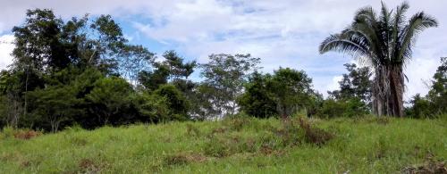 Atencion Inversionistas - Fundo 34 Ha LLave en Mano a Precio de Terreno