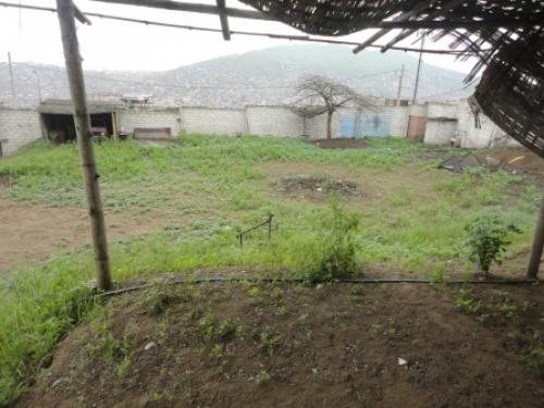 Venta de Terreno en Pachacamac
