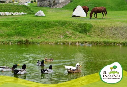 VENTA DE TERRENO DE CAMPO HUAROCHIRI - Mz G Lote 2