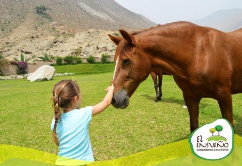 VENTA DE TERRENO DE CAMPO HUAROCHIRI - Mz D Lote 6