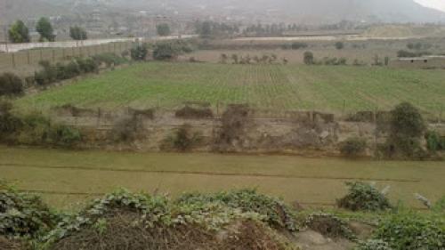 OCASION! TERRENOS INDUSTRIALES EN VENTA EN HUACHIPA, AREAS: 30,000m2 y 46,600 m2