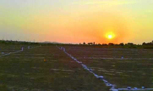 VENTA DE LOTES RURALES BUENA ESPERANZA