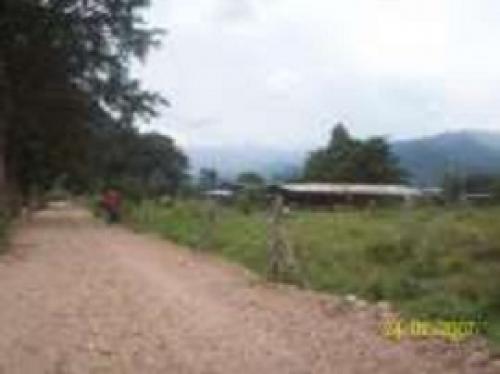 VENDO TERRENO CERRO DE PASCO  OXAPAMPA