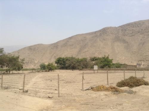 Venta de Terreno Rural en Carabayllo