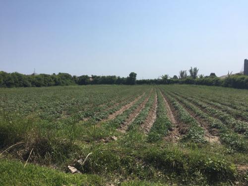 TERRENO en VENTA en MALA