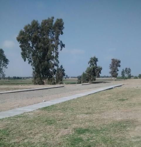 VENTA DE LOTES DE TERRENO EN SAN CLEMENTE HABILITADOS
