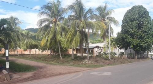 SE VENDE TERRENO UBICADO EN EL DISTRITO DE SHAPAJA (HUALLAGA)A 20 MINUTOS DE LA CIUDAD DE TARAPOTO EN EL DEPARTAMENTO DE SAN MARTÍN.