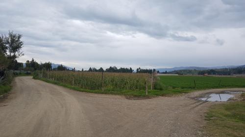 VALLE GRANDE VENDE TERRENO EN ORCOTUNA