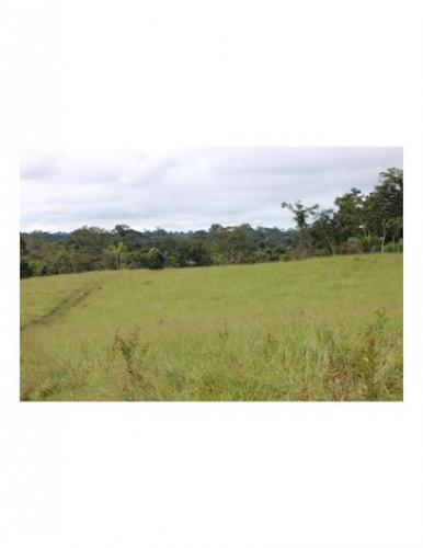 Venta terreno agricola o forestal a 5km Interoceanica