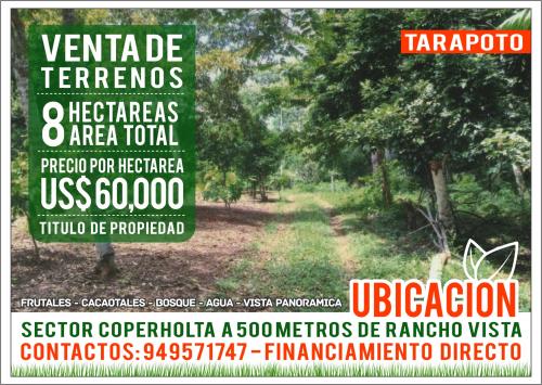 Vendo Terreno en Tarapoto - Coperholta